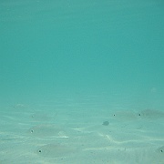 Picture 073